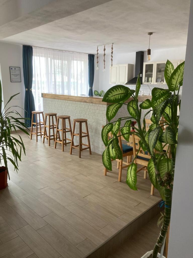 Casa De La Balta Ξενοδοχείο Rieni Εξωτερικό φωτογραφία